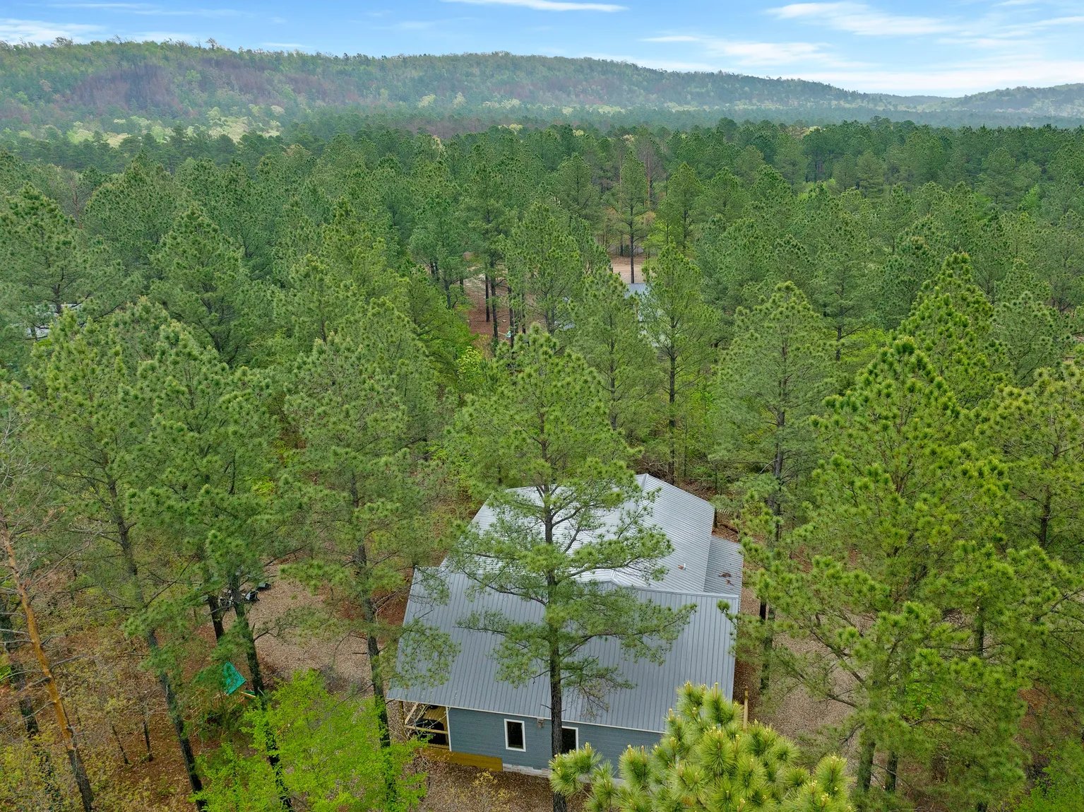 Aerial roofline view
