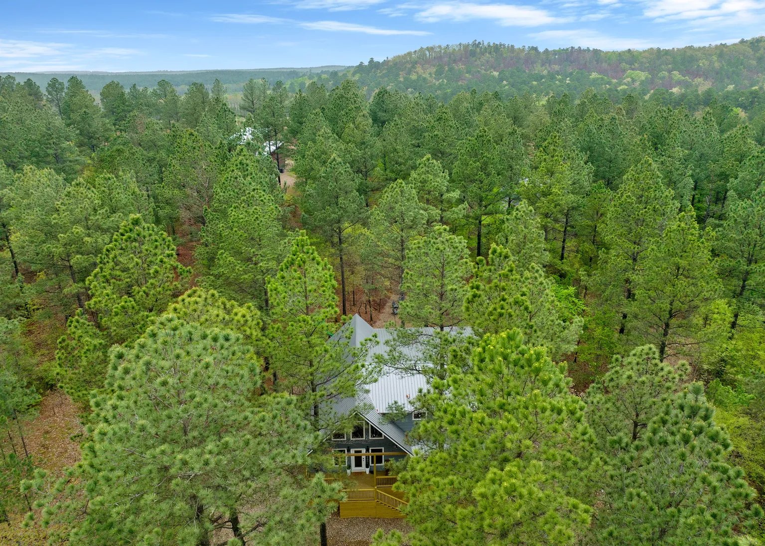 Aerial view among trees