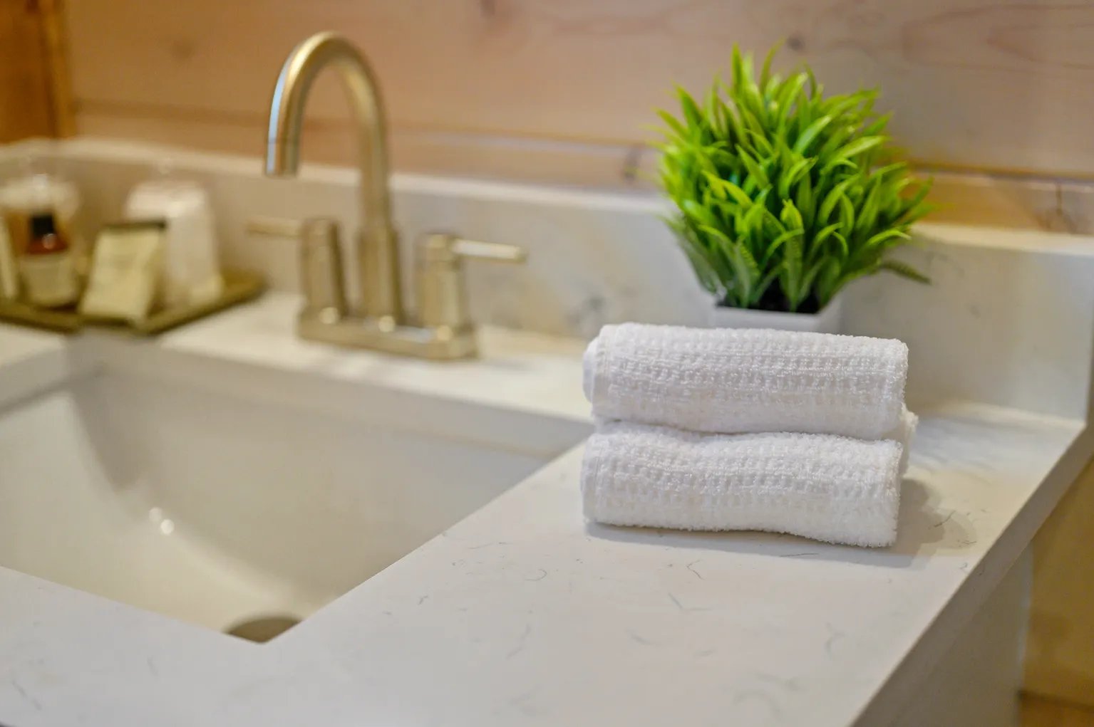 Bathroom counter detail with plant